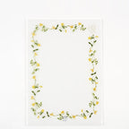 Hibiya Kadan 日比谷花壇 Fleur de papier A4 clear folder - Yellow / Pink / Purple
