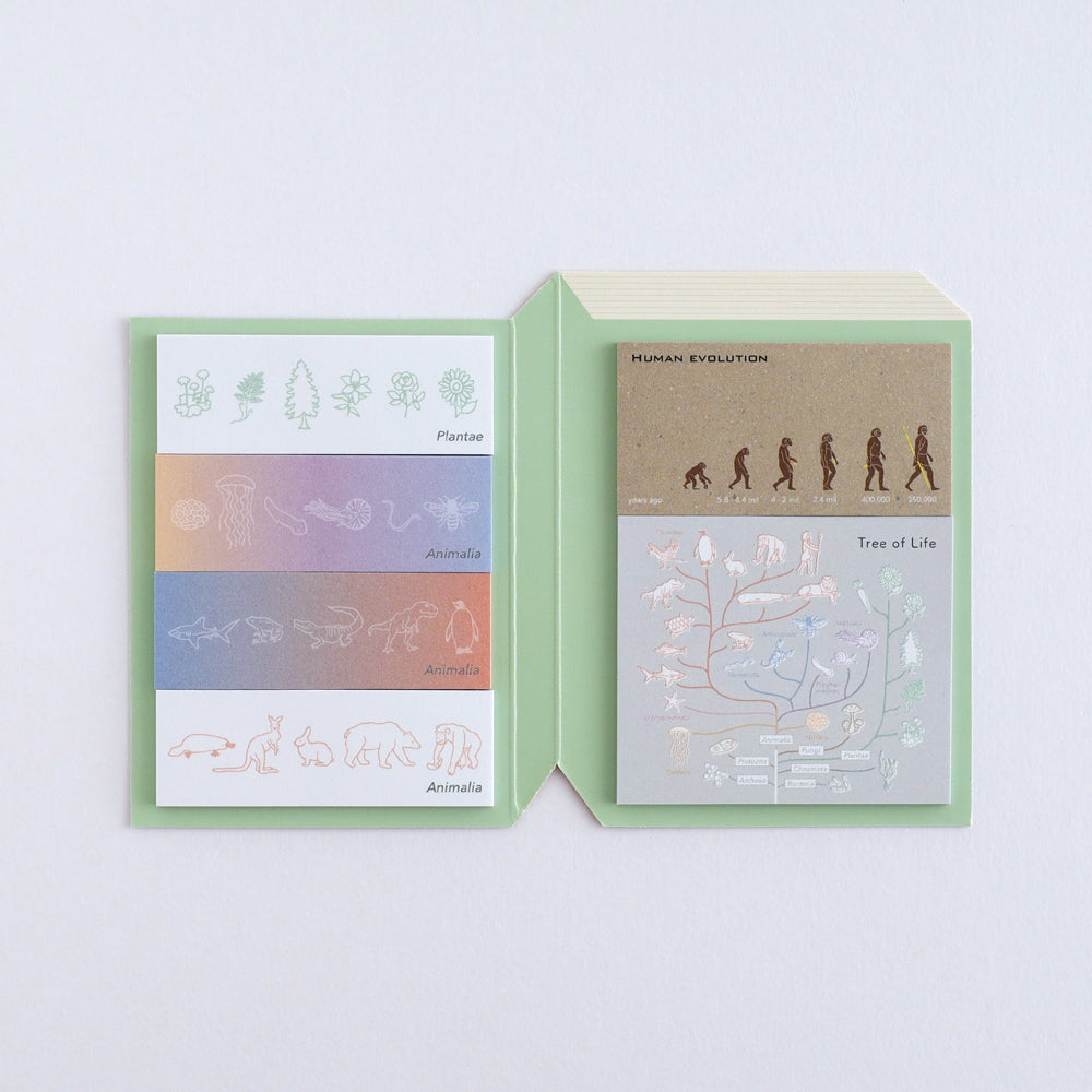 <Study Holic> Sticky Notes -  Evolutionary Biology 進化生物学