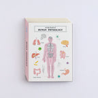 <Study Holic> Sticky Notes -  Human Biology 人類生物学