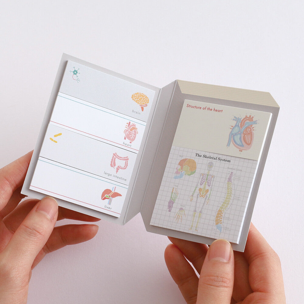 <Study Holic> Sticky Notes -  Human Biology 人類生物学