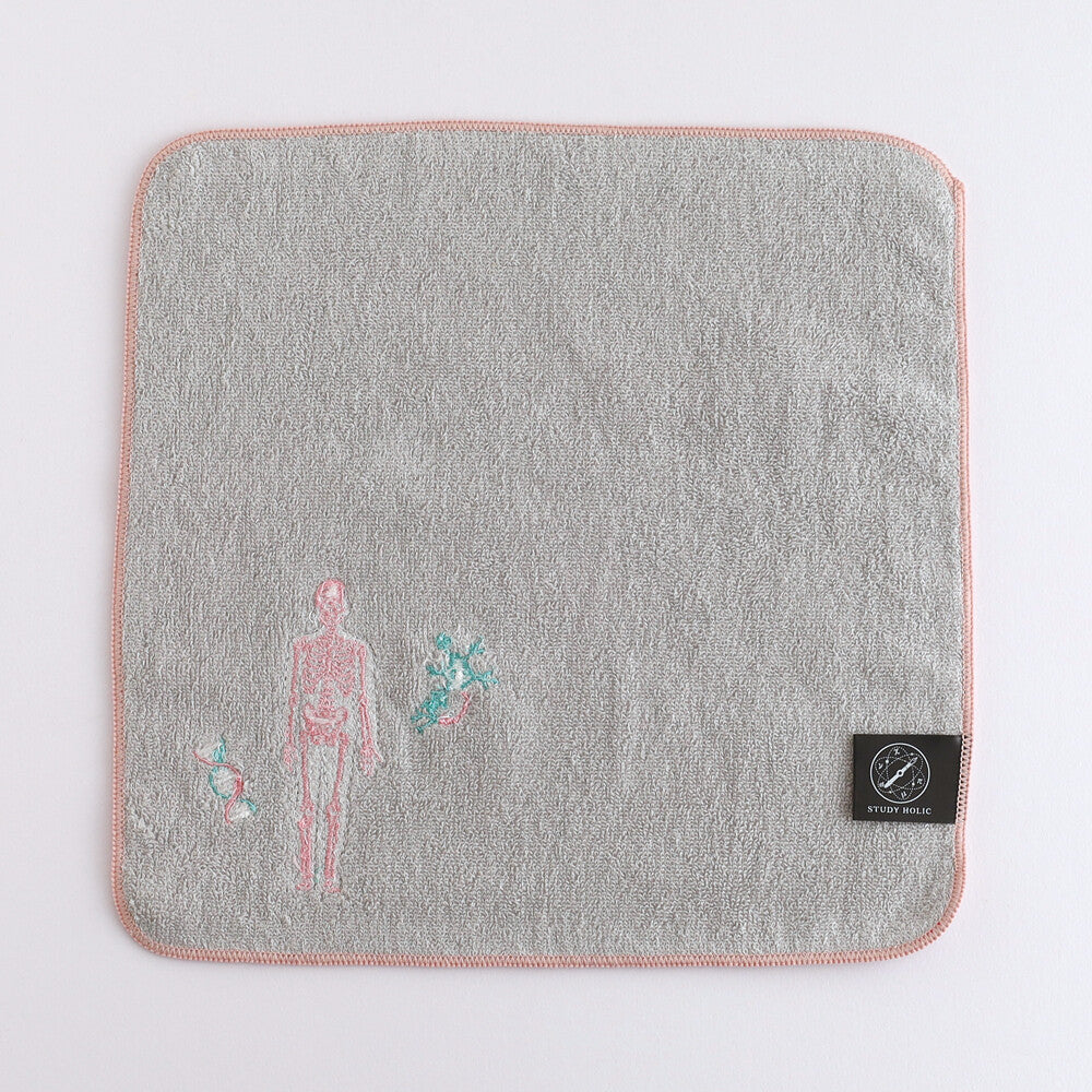 <Study Holic> Towel - Human Biology / Mineralogy / Musicology / Pharmacy