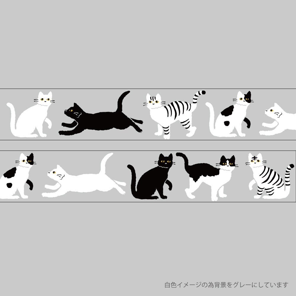 <Midnight> Clear masking tape - Kuroneko