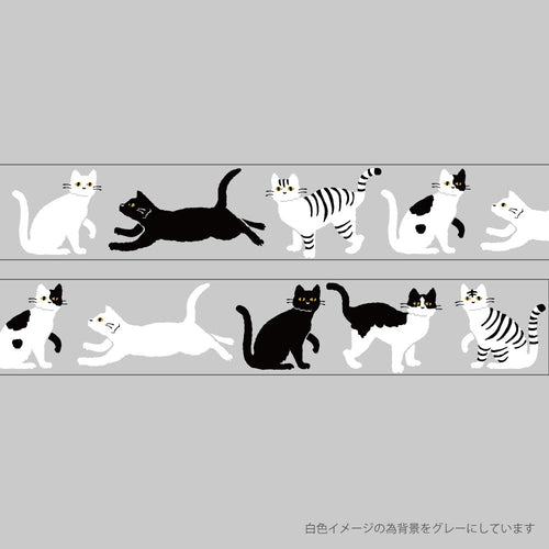 <Midnight> Clear masking tape - Kuroneko