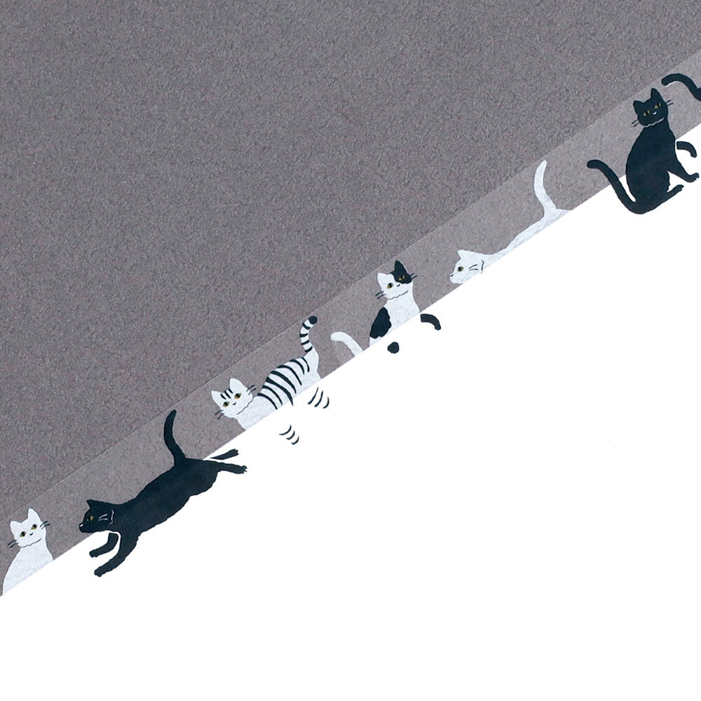 <Midnight> Clear masking tape - Kuroneko